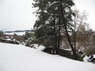Lairds Lodge - 2