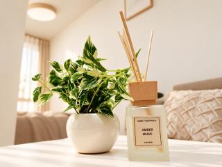 Le Dahlia Ginza en Voyage - 5