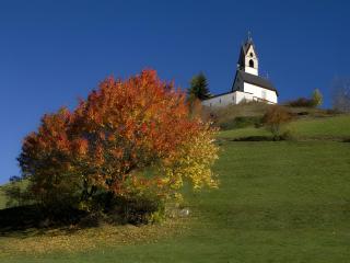 Wirthof Apartments - 2