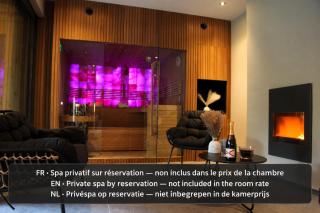 Dionbulles & Dionlodge Guesthouse, Private Wellness with pool in option - 1