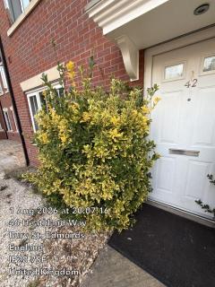 6BR Elegant Home in Mildenhall Perfect for Large Groups - 8