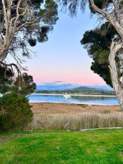 Velveteen Rabbit Tasmania - 8