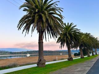 Velveteen Rabbit Tasmania - 4
