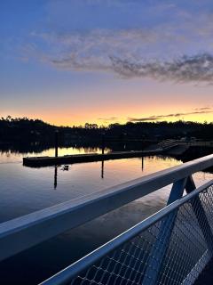 Velveteen Rabbit Tasmania - 3