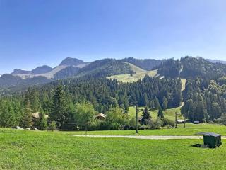 Chalet Chalet Chaudoudoux - Les Paccots-1 by Interhome - 1