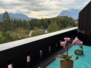 Wohlfühlapartment Dachsteinblick - 5