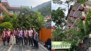 HOTEL FORESTWAY Hostel & Backpackers - 9