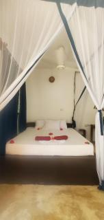 Nionje Garden Villa - Jambiani - 8