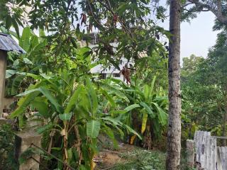 Kalpana Heritage Home - 4