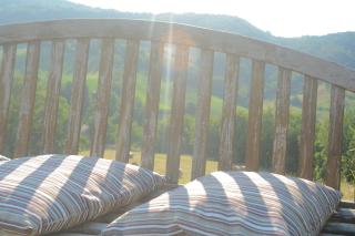 La Collina Zocca - 6