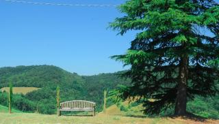 La Collina Zocca - 5