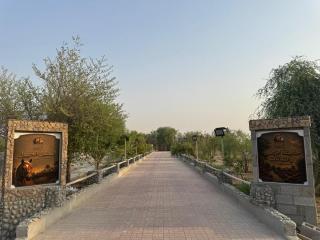 Al maha reserve and rest area - 5