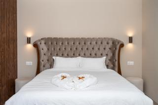 Aria Central Luxury Plovdiv - 6
