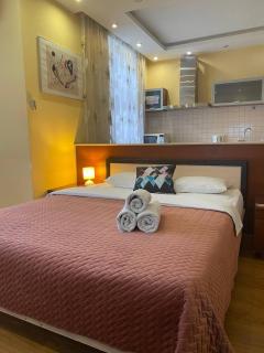 Inn Home Apartments-Olimpiysky Stadium area - 9