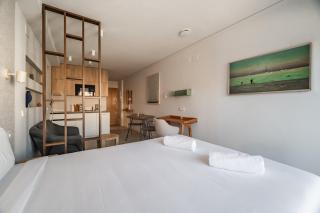 Renovated Studio with Terrace – Chueca - 1