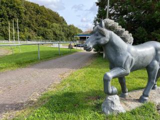 Ferien auf dem Islandpferdehof - Ferienhaus Mittelhaus für bis zu 5 Personen - 8