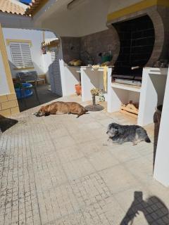 Spacious House in Sagres with Private Patio & BBQ - 4