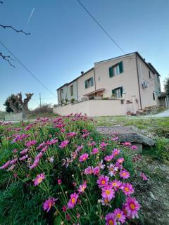 il belvedere delle vigne Affittacamere - 0