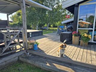 Holiday Home Lidewij - 800m from the sea by Interhome - 9