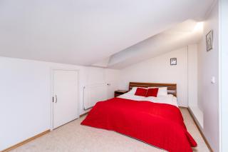 2-story, 3-bedroom Penthouse, sauna, free parking - 5