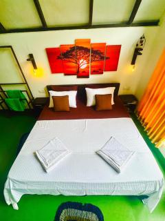 Rainforest cabin - 2