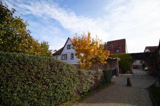 Adlerlodge - Ferienhaus und Apartment - 9