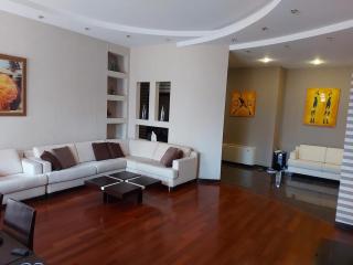 3BR - Premium Class Flat - Central Baku - 0