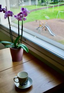 Rogza Residence - rest & relaxation - 9