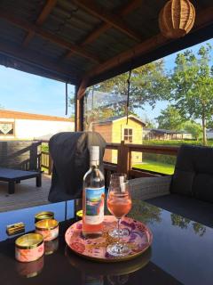 Modern chalet voor 4 personen met airco en veranda in Renesse - 4