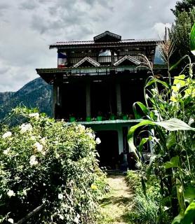 Divine Nest Homestay - 0
