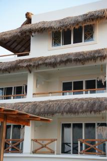 Pacific Dreams Hotel Suites - 2