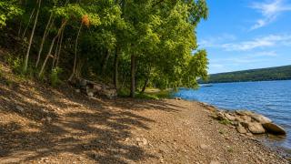 Private Keuka Lake Access Dock FLX Wineries - 4