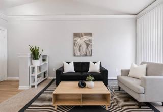 Premium 1BR Apartment. Free Parking and Fitness Center - 2