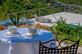 Villa Joy - 40 m2 heated pool, 35 000 m2 of land - 4