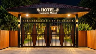 Hotel Avalianebis Mamuli - 6