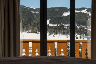 Hotel Vall d'Isard Suites - 3