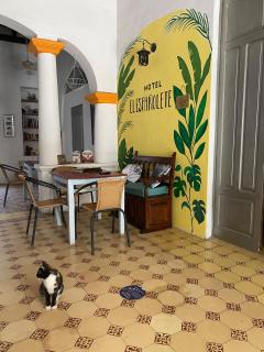 Hostal Españolete - 4