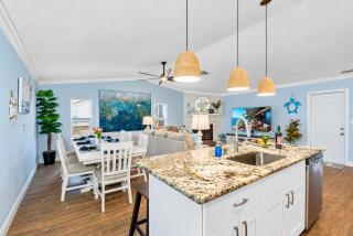 Luxurious Spa Retreat with Stunning Pool in Palm Harbor - 5