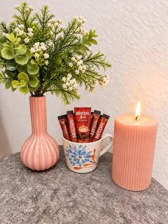 Comfortable and Cozy Apartment in Dresden - 7