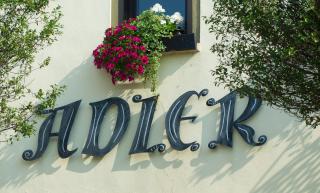 Adler Golf-& Tagungshotel - Harth - Pöllnitz - 8