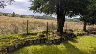 Haul-Yr-Hwyr - 7