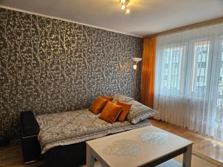 Apartament Zygmunt I w pobliżu dworca PKP Częstochowa Stradom - 6