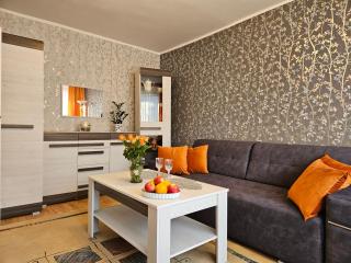 Apartament Zygmunt I w pobliżu dworca PKP Częstochowa Stradom - 9