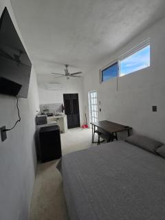 Studio Privado Centrico - 0