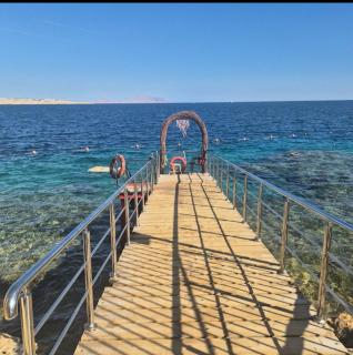Halomy Resort - 0