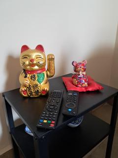 Colonial Zone - Asian Artistic 2 Bedroom, 2 Bathroom Apartment - 8