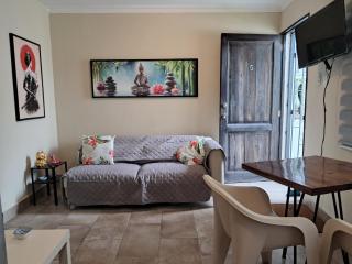 Colonial Zone - Asian Artistic 2 Bedroom, 2 Bathroom Apartment - 3