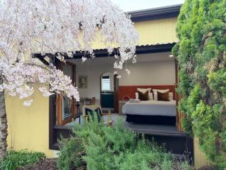 Greytown Shy Studio - 7
