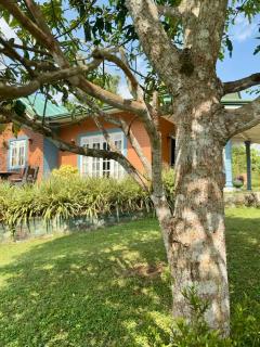 Jasmine Villa - Kananke Hills - 9
