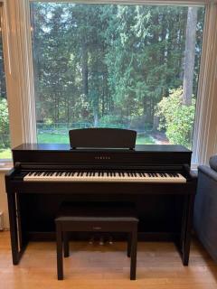 Bright and Spacious Upper Level House, Great Area - 4